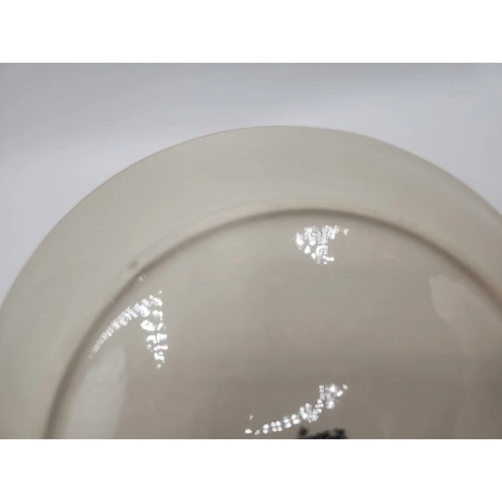 Temptations Floral Lace Dinner Plates -basket Weave PPP-HDL-956130